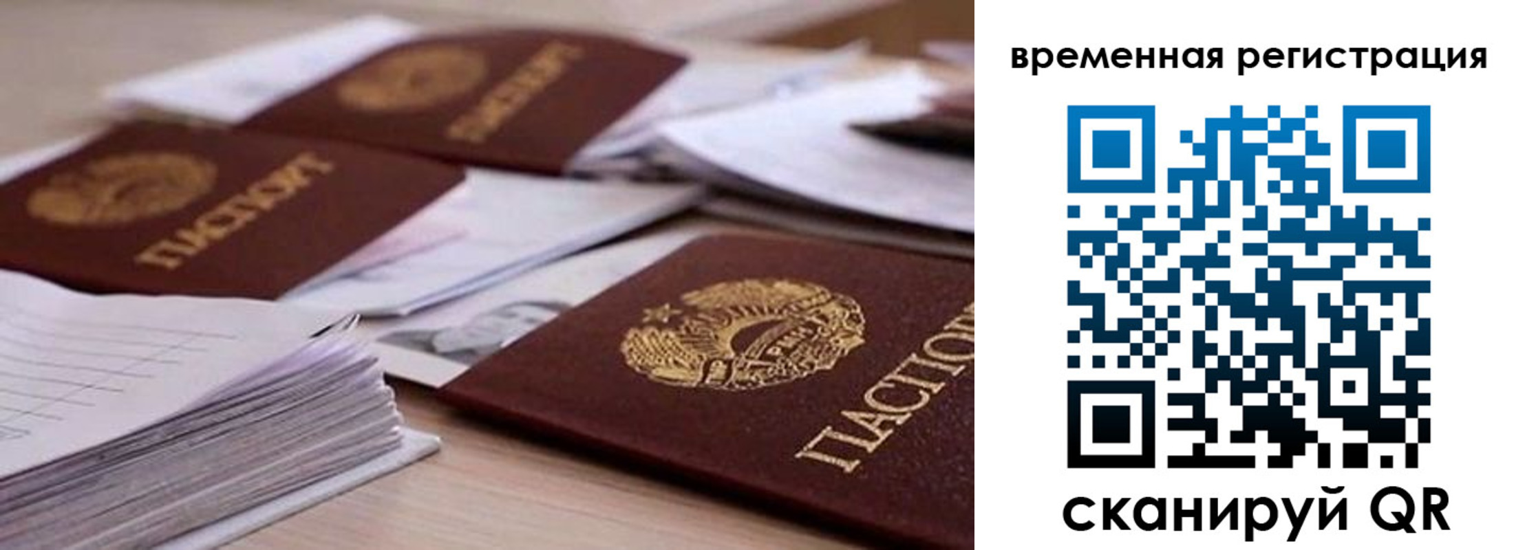 временная регистрация поиск в Партизанске
